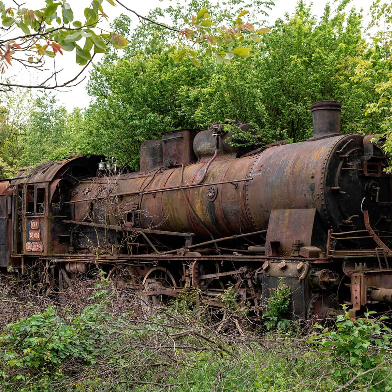 urbex-exploration-roumanie-romania-train-nature-locomotive